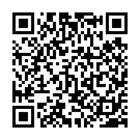 QR code for ZT6611