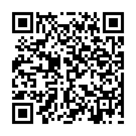 QR code for ZT7333
