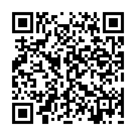 QR code for ZT8382