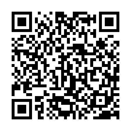 QR code for ZT8951