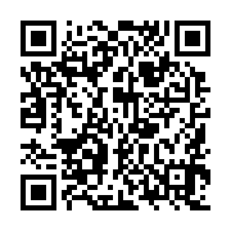 QR code for ZT9395