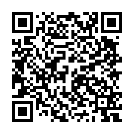 QR code for ZT9461
