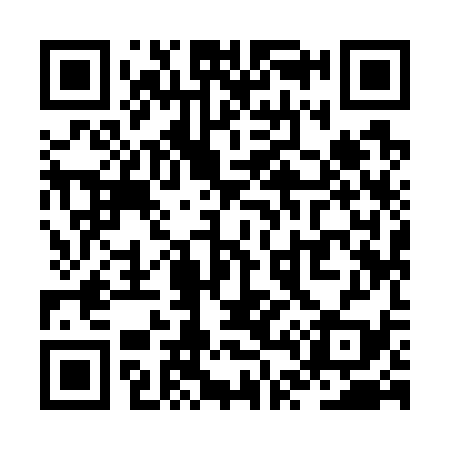 QR code for ZT9739