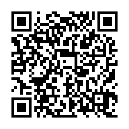 QR code for ZT9924