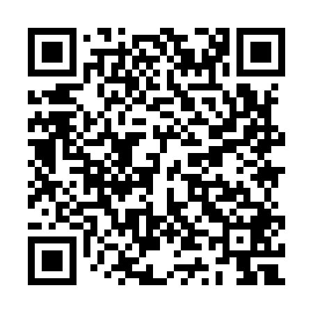 QR code for ZT9948