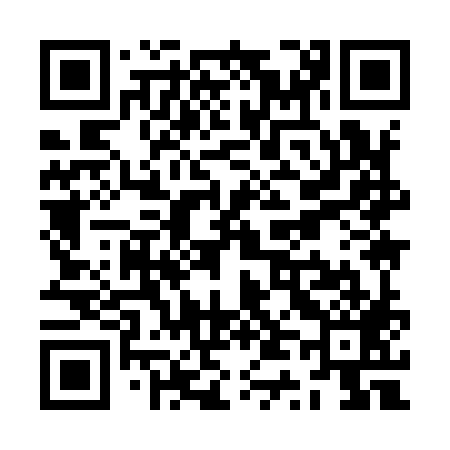 QR code for ZT9989