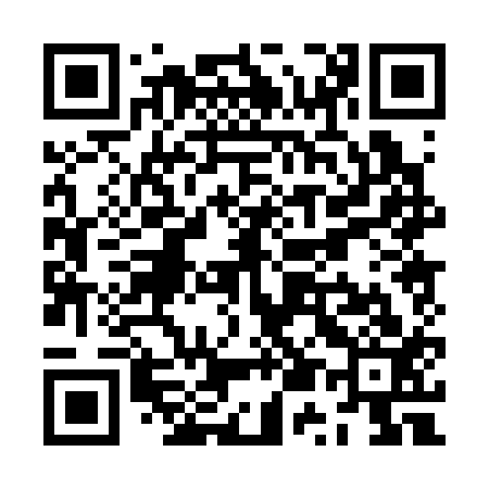 QR code for ZU0313