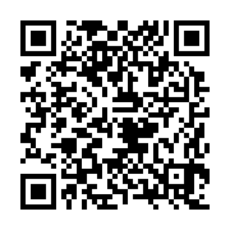 QR code for ZU0383