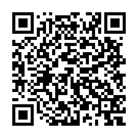 QR code for ZU0533