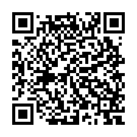 QR code for ZU3383