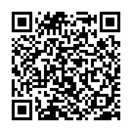 QR code for ZU3399