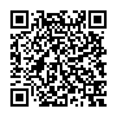 QR code for ZU4539