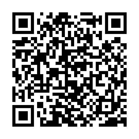 QR code for ZU5533