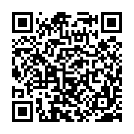 QR code for ZU5596