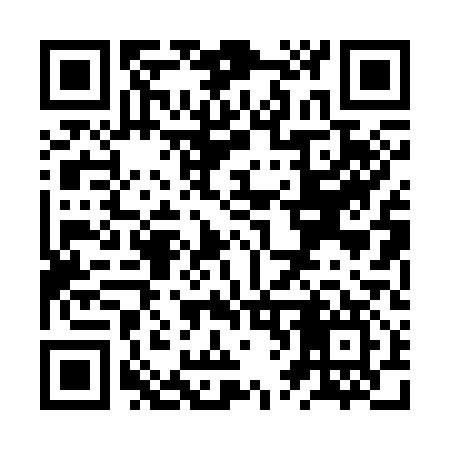 QR code for ZV0317