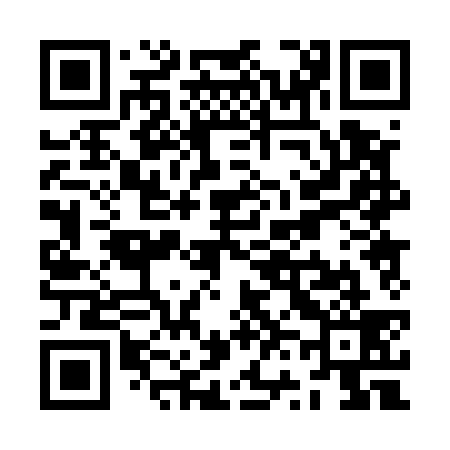 QR code for ZV0539