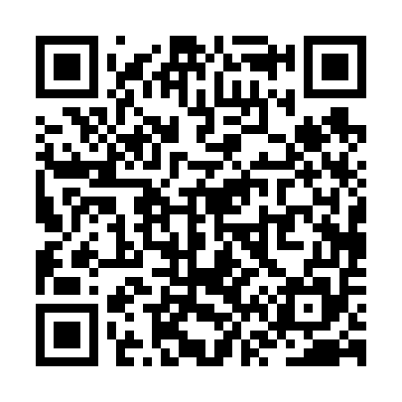 QR code for ZV0655