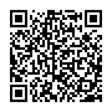 QR code for ZV0999