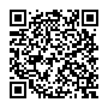QR code for ZV1101