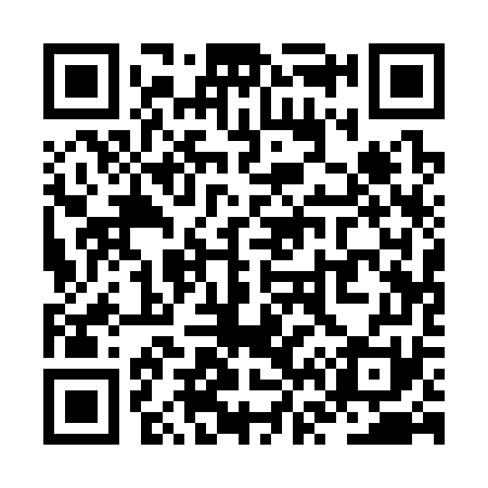 QR code for ZV1371