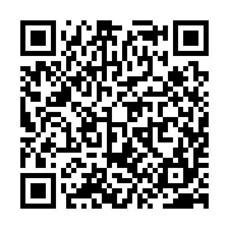 QR code for ZV1394