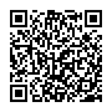 QR code for ZV1991