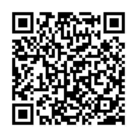 QR code for ZV2138