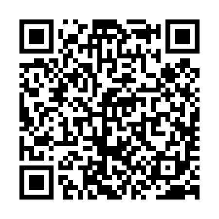QR code for ZV2491