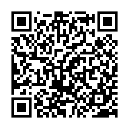 QR code for ZV3004