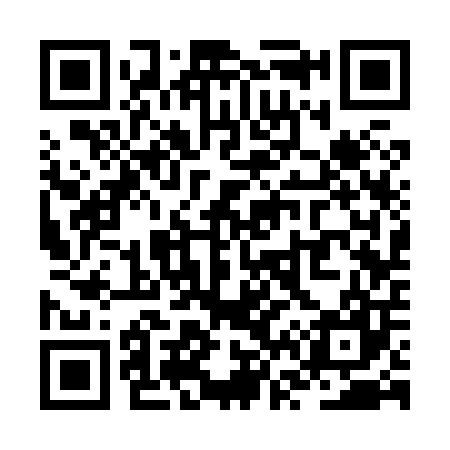 QR code for ZV3807