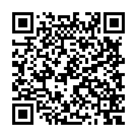 QR code for ZV4869