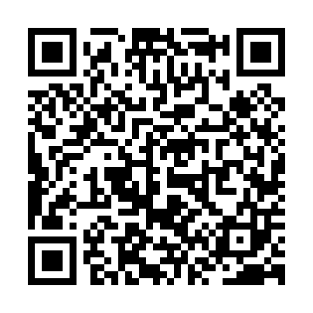 QR code for ZV6003