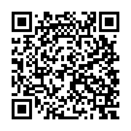 QR code for ZV6141