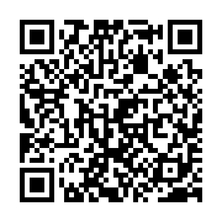 QR code for ZV6391