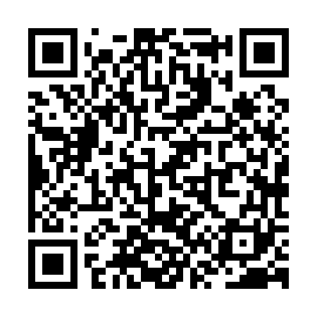 QR code for ZV8161