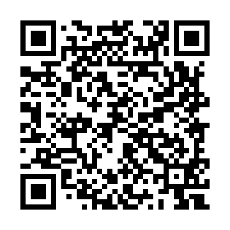 QR code for ZV8991