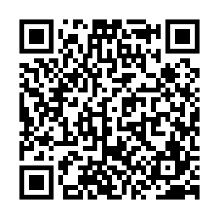 QR code for ZV9126