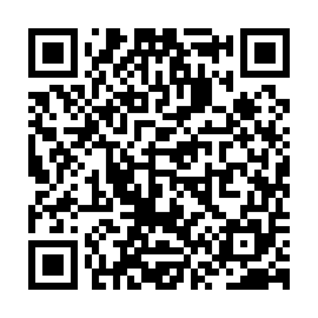 QR code for ZV9155