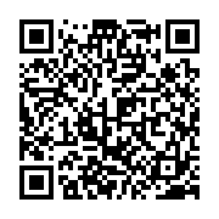 QR code for ZV9333