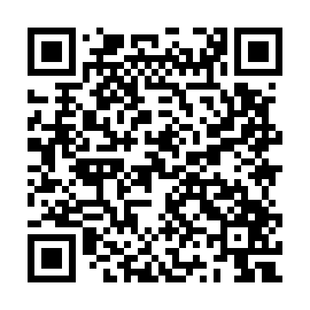 QR code for ZV9547