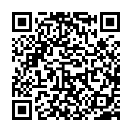 QR code for ZW0919