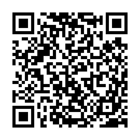 QR code for ZW1667