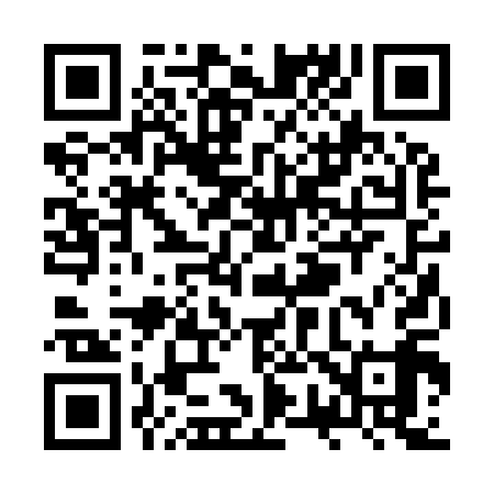QR code for ZW2919