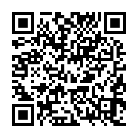 QR code for ZW3951