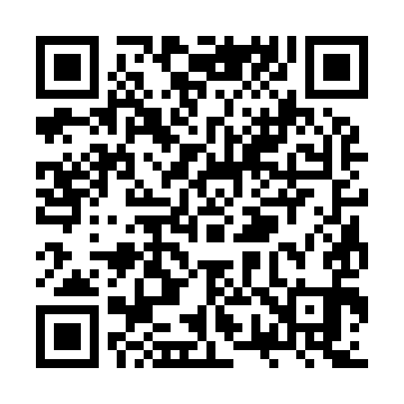 QR code for ZW3991