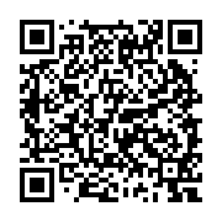 QR code for ZW4291