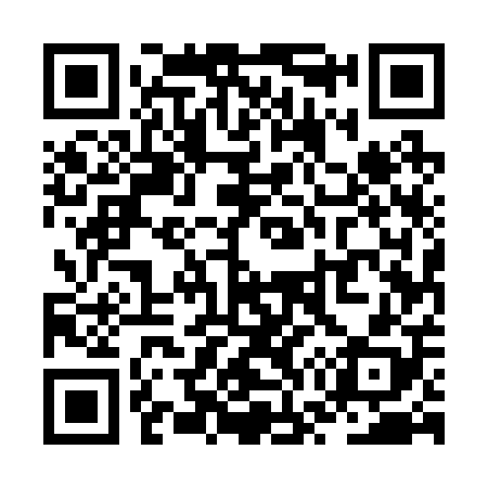 QR code for ZW5208