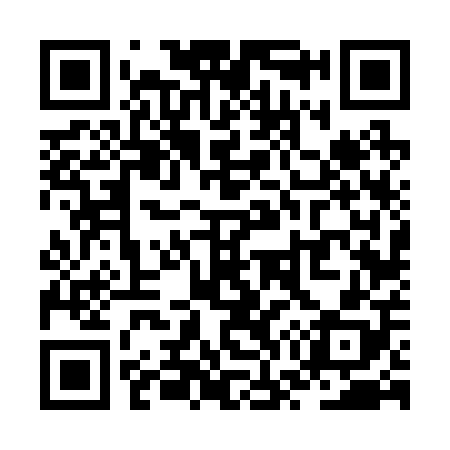 QR code for ZW6208