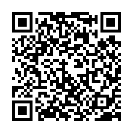 QR code for ZW6619