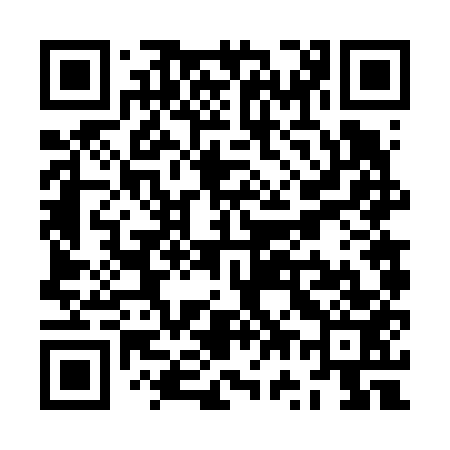 QR code for ZW6653